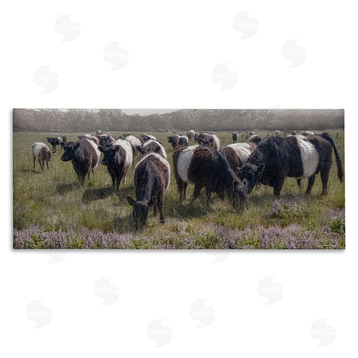 Black Cows Grazing in Pasture Canvas Wall Art, Home Decor by Robin-Lee Viera