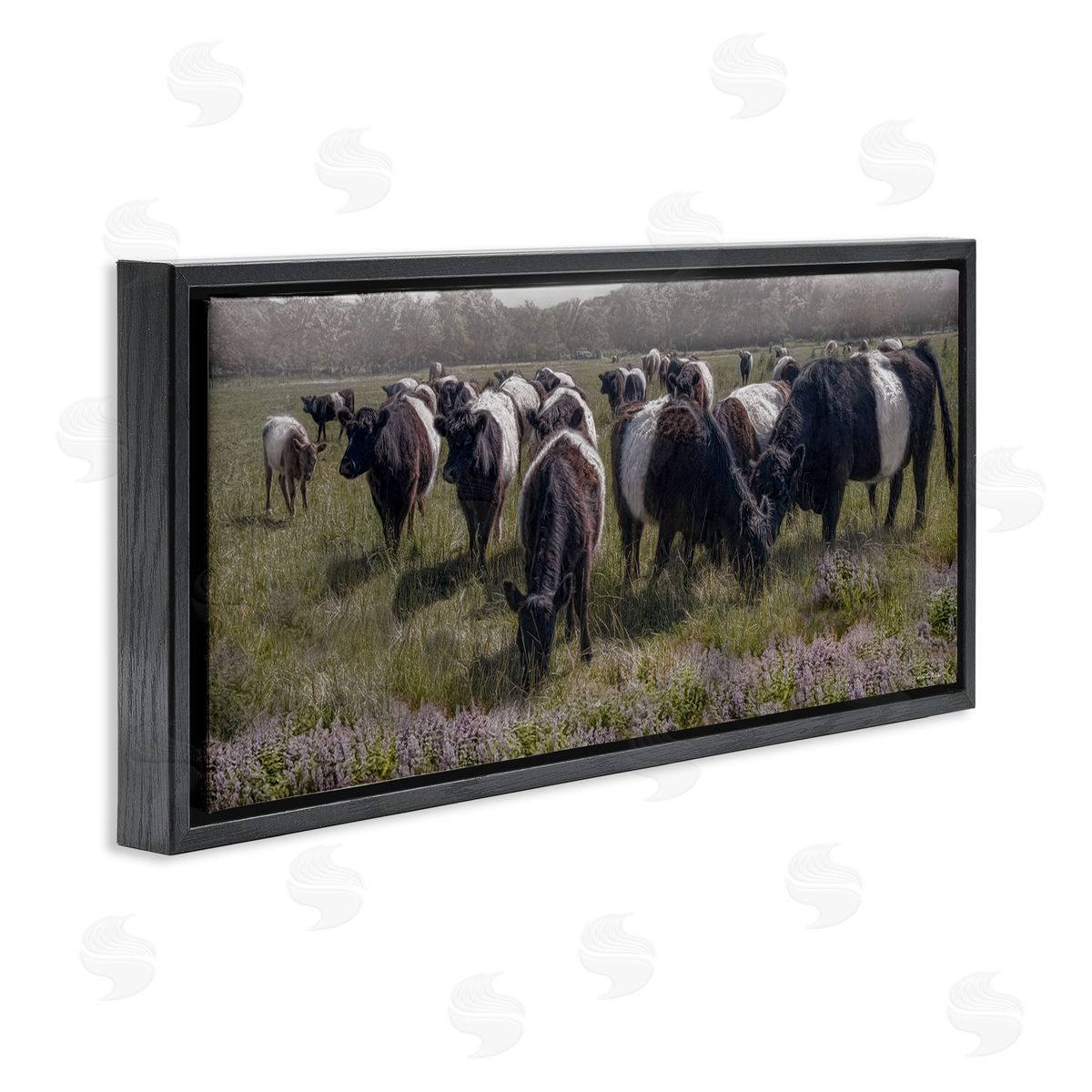 Black Cows Grazing in Pasture Black Floating Frame Canvas Wall Art, Home Decor by Robin-Lee Viera