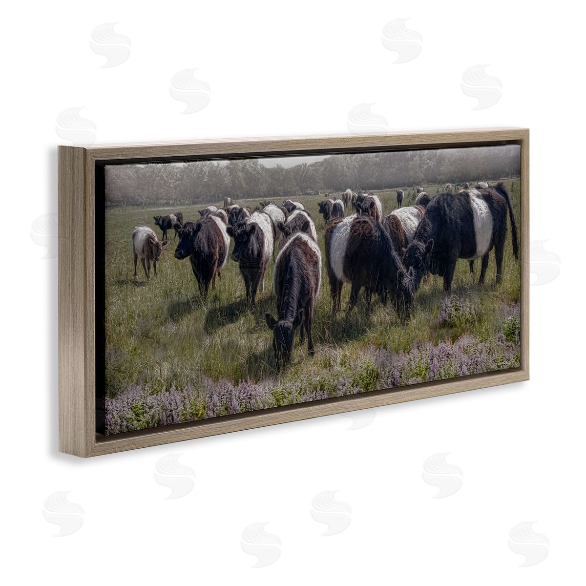 Black Cows Grazing in Pasture Brown Floating Frame Canvas Wall Art, Home Decor by Robin-Lee Viera