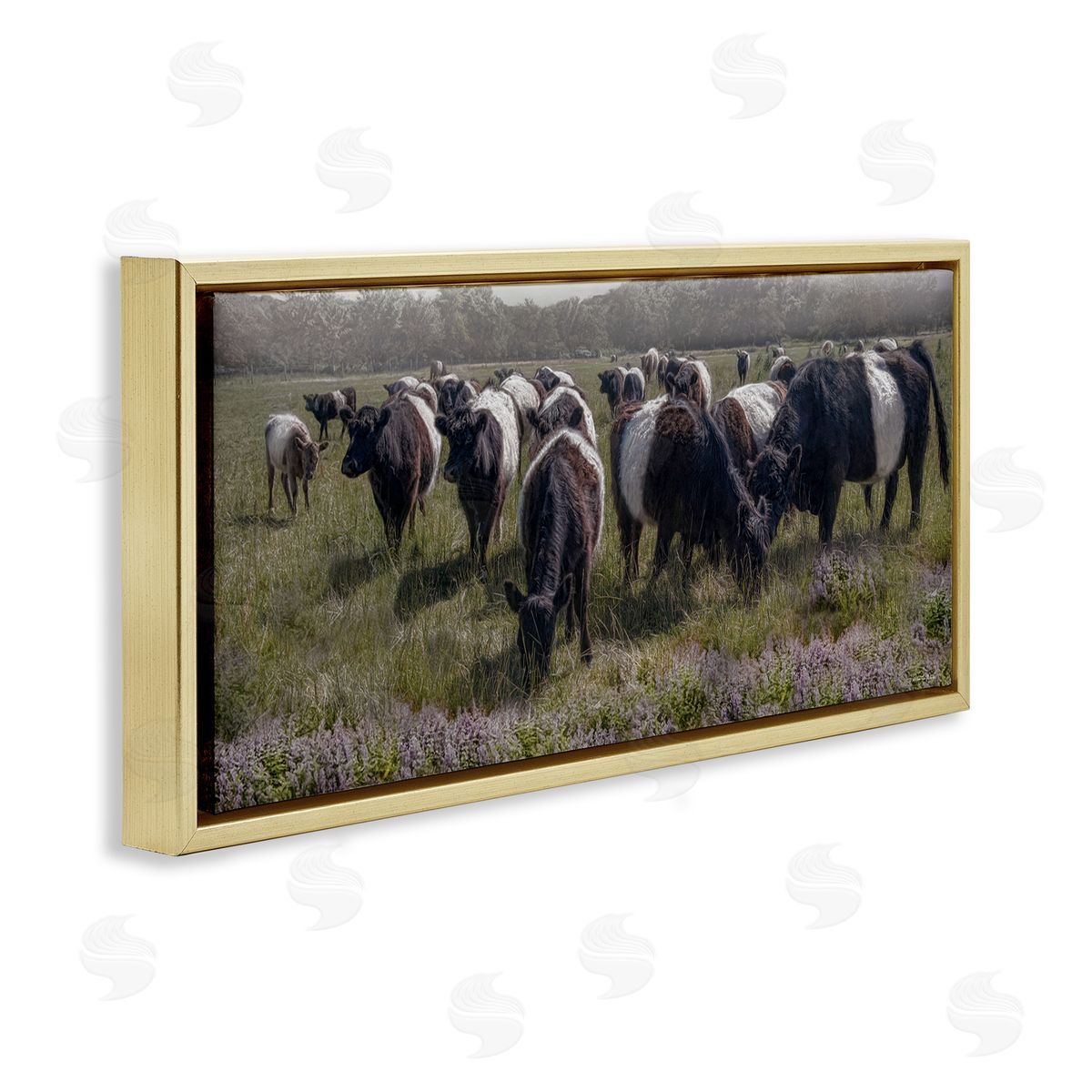 Black Cows Grazing in Pasture Gold Floating Frame Canvas Wall Art, Home Decor by Robin-Lee Viera