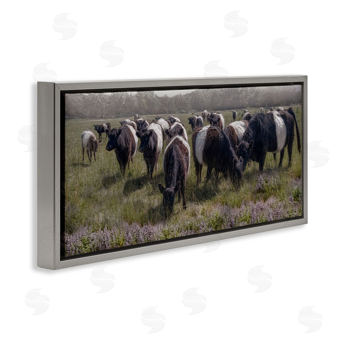 Black Cows Grazing in Pasture Grey Floating Frame Canvas Wall Art, Home Decor by Robin-Lee Viera