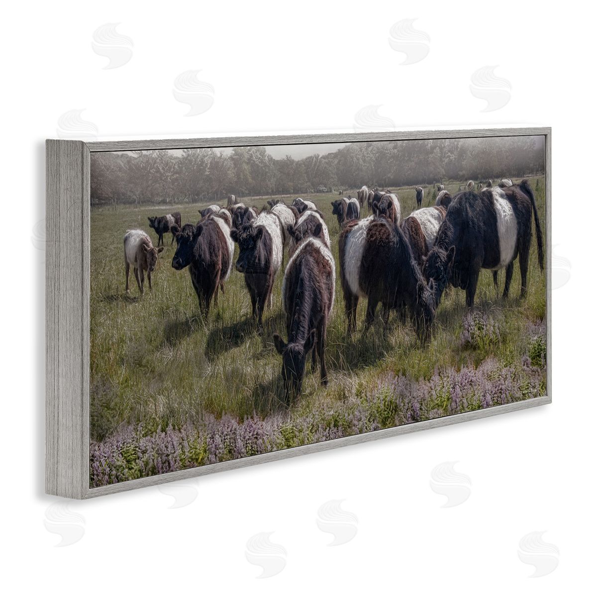 Black Cows Grazing in Pasture Grey Frame Print Wall Art, Home Decor by Robin-Lee Viera