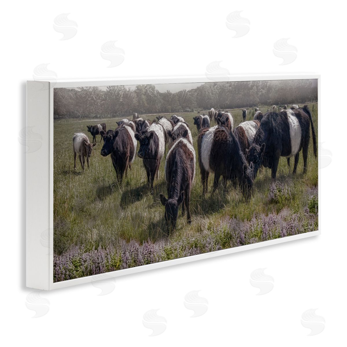 Black Cows Grazing in Pasture White Frame Print Wall Art, Home Decor by Robin-Lee Viera
