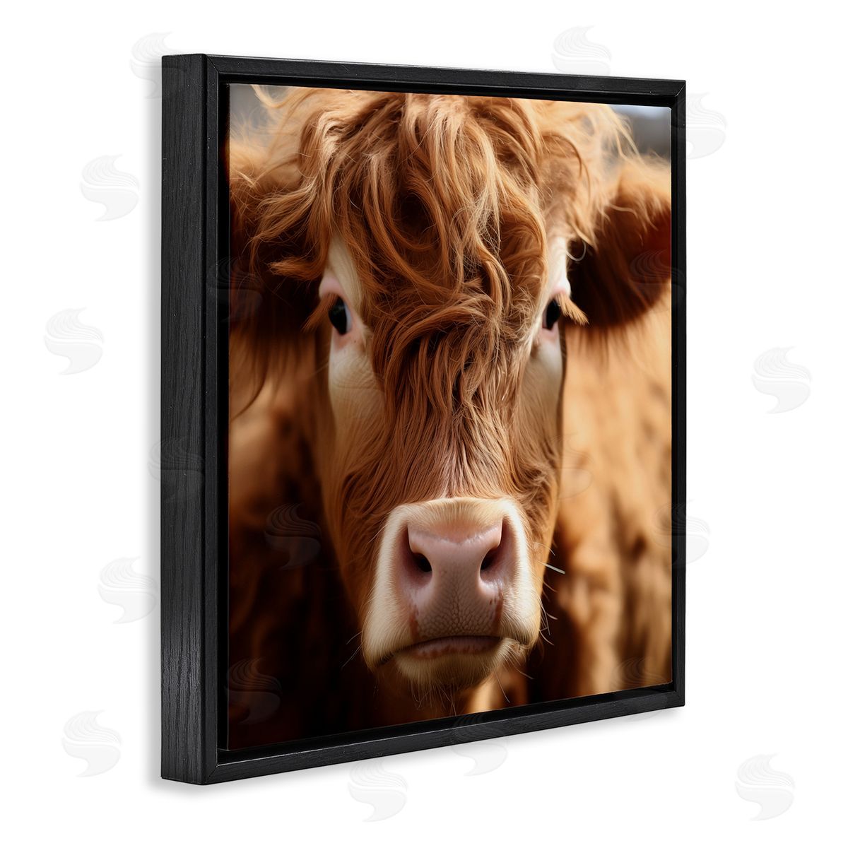 Close Up Furry Cow Portrait Black Floating Frame Canvas Wall Art, Home Decor by Heidi Kuntz