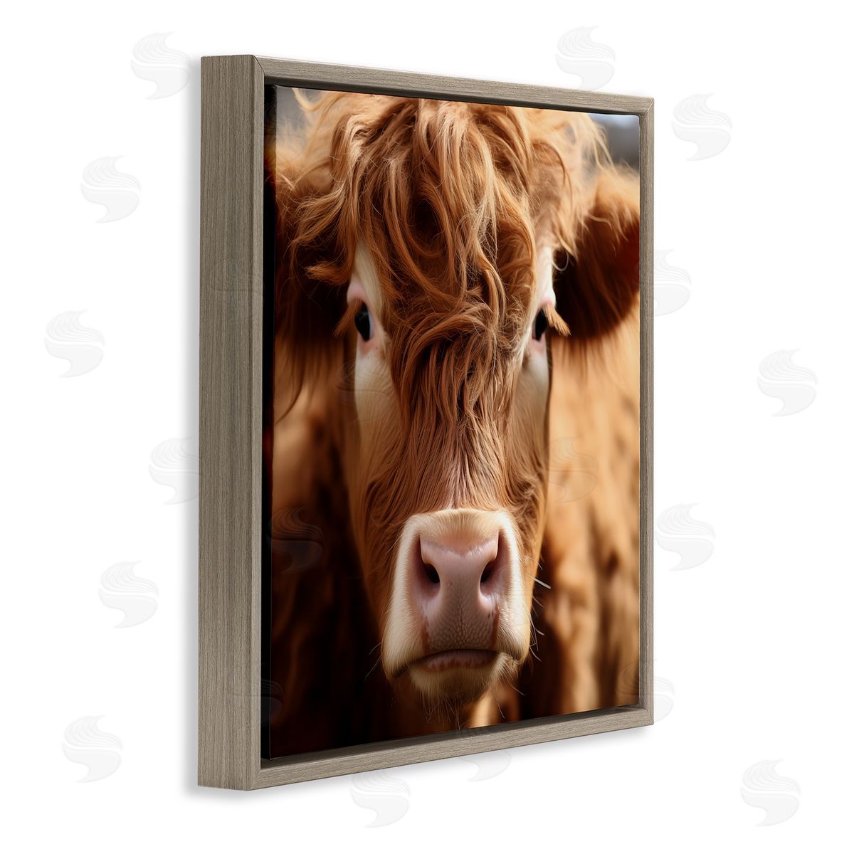 Close Up Furry Cow Portrait Brown Floating Frame Canvas Wall Art, Home Decor by Heidi Kuntz