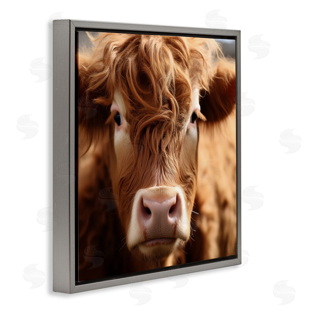 Close Up Furry Cow Portrait Grey Floating Frame Canvas Wall Art, Home Decor by Heidi Kuntz