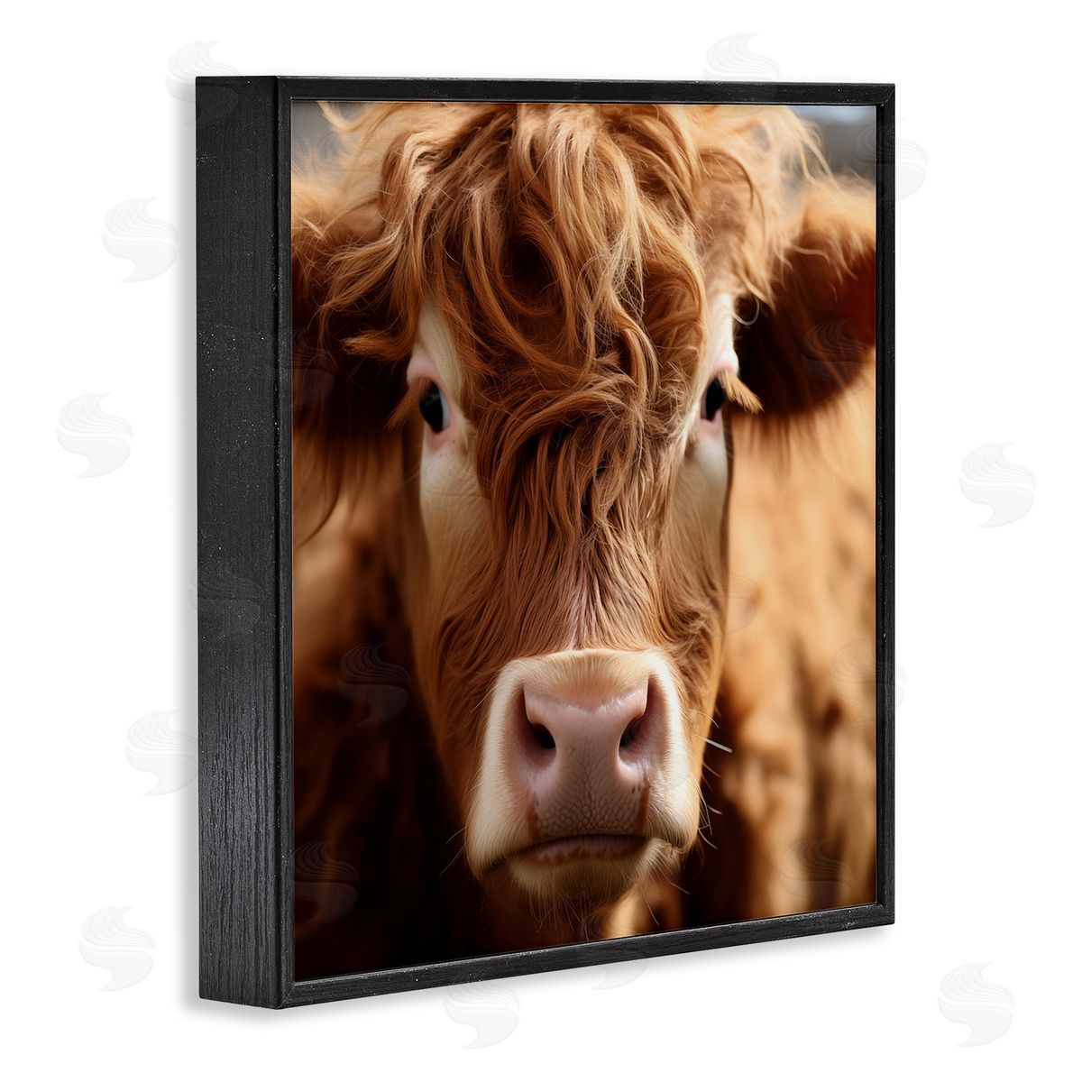 Close Up Furry Cow Portrait Black Frame Print Wall Art, Home Decor by Heidi Kuntz