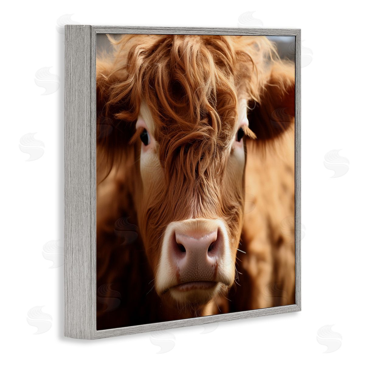Close Up Furry Cow Portrait Grey Frame Print Wall Art, Home Decor by Heidi Kuntz
