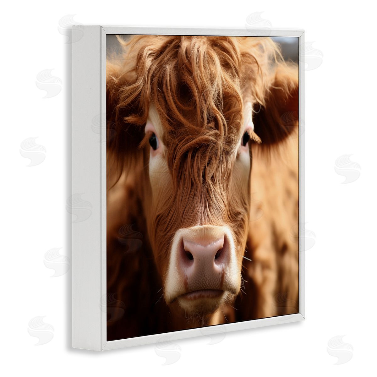 Close Up Furry Cow Portrait White Frame Print Wall Art, Home Decor by Heidi Kuntz