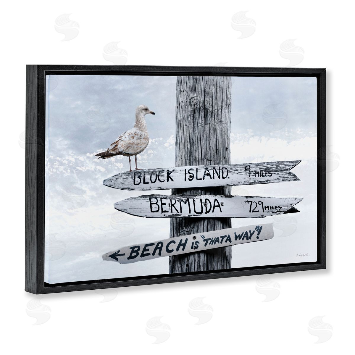 Vacation Beach Signs with Seagull Black Floating Frame Canvas Wall Art, Home Decor by Robin-Lee Viera