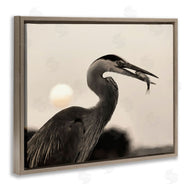 Lori Deiter | Heron Feeding on Fish