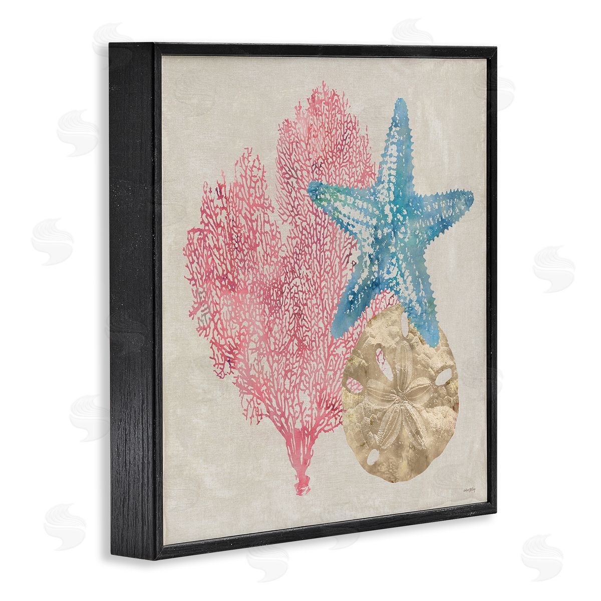 Sea Life Trio on Beige Black Frame Print Wall Art, Home Decor by Amber Sterling