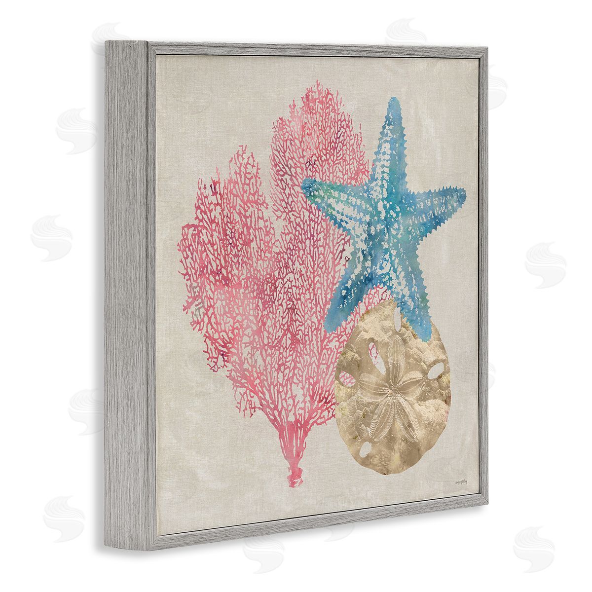 Sea Life Trio on Beige Grey Frame Print Wall Art, Home Decor by Amber Sterling