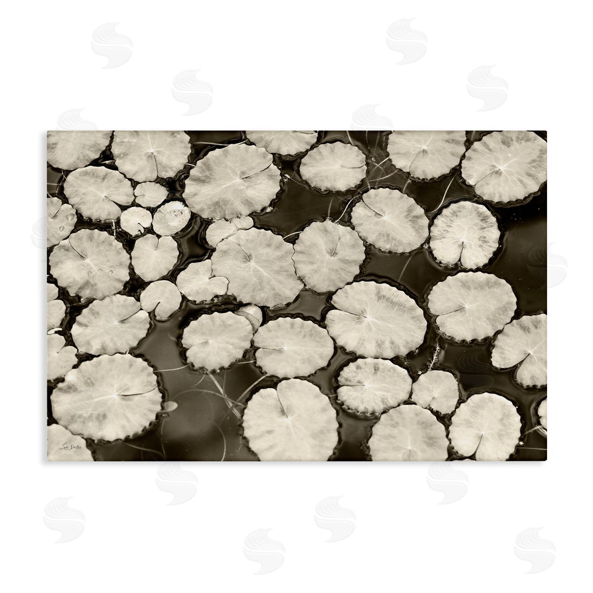 White Floating Lily Pads Canvas Wall Art, Home Decor by Lori Deiter