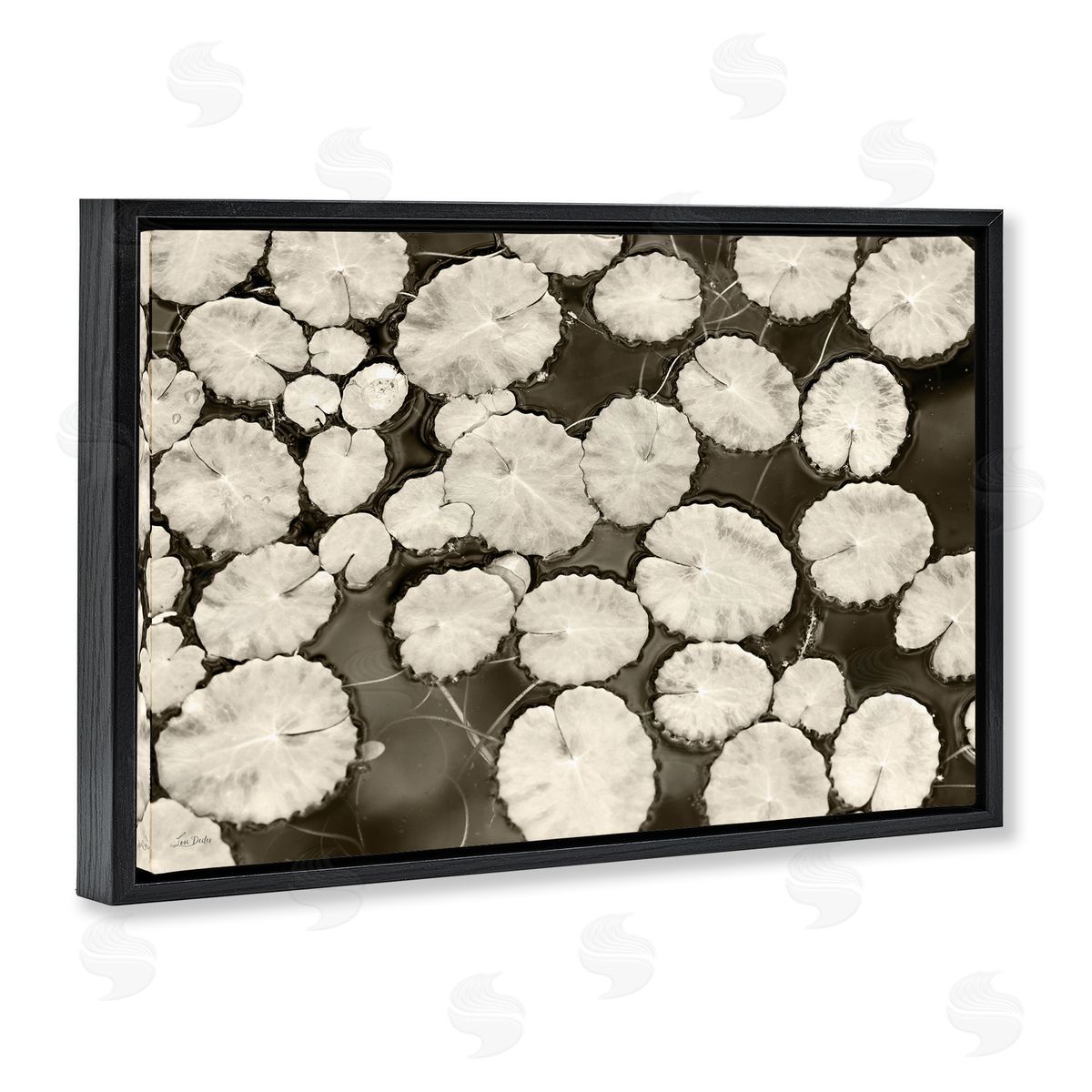 White Floating Lily Pads Black Floating Frame Canvas Wall Art, Home Decor by Lori Deiter