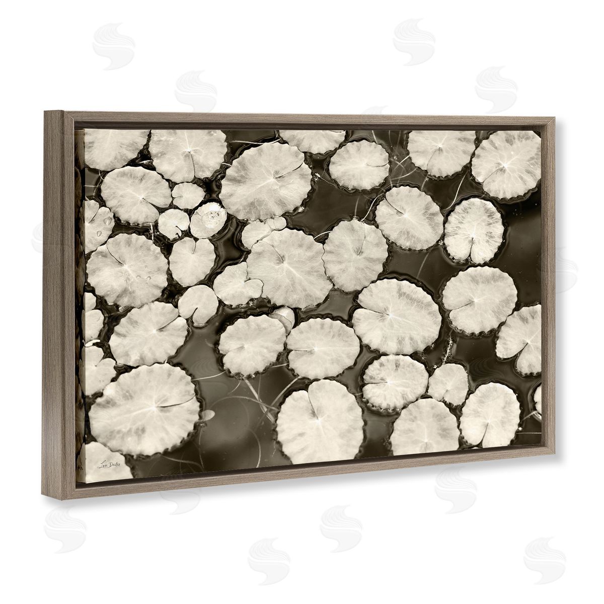 White Floating Lily Pads Brown Floating Frame Canvas Wall Art, Home Decor by Lori Deiter
