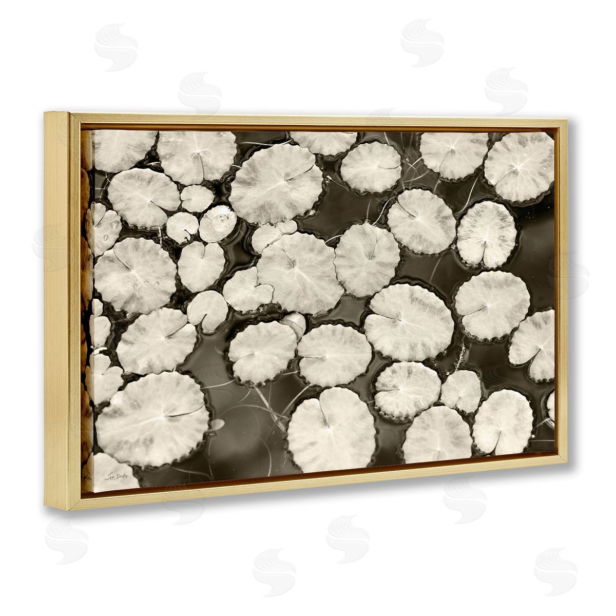 White Floating Lily Pads Gold Floating Frame Canvas Wall Art, Home Decor by Lori Deiter