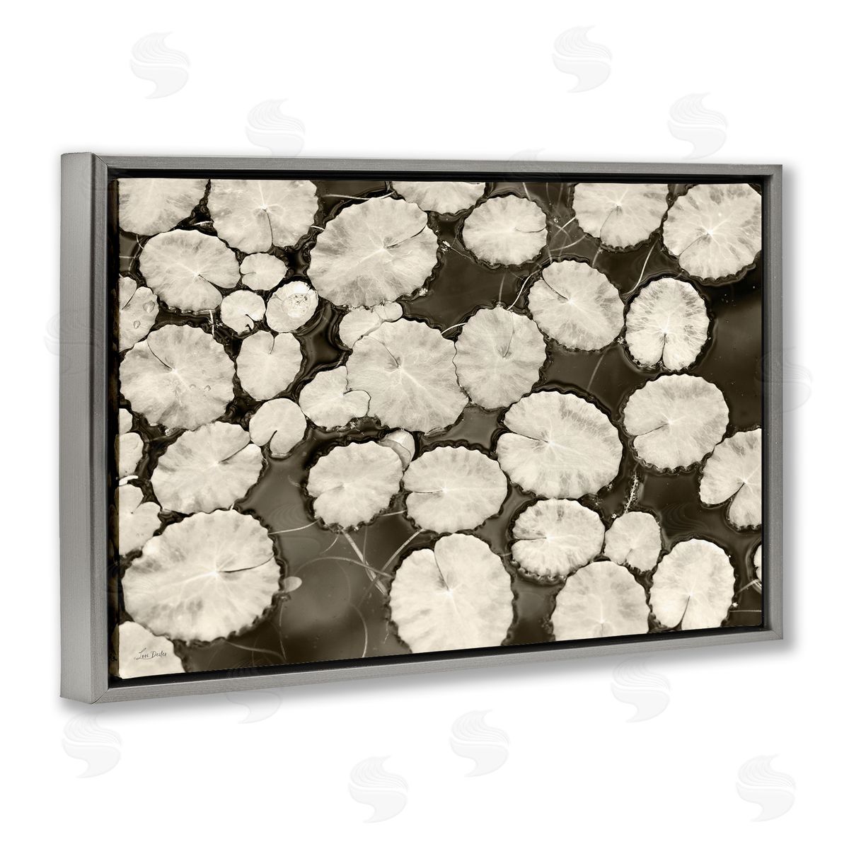 White Floating Lily Pads Grey Floating Frame Canvas Wall Art, Home Decor by Lori Deiter