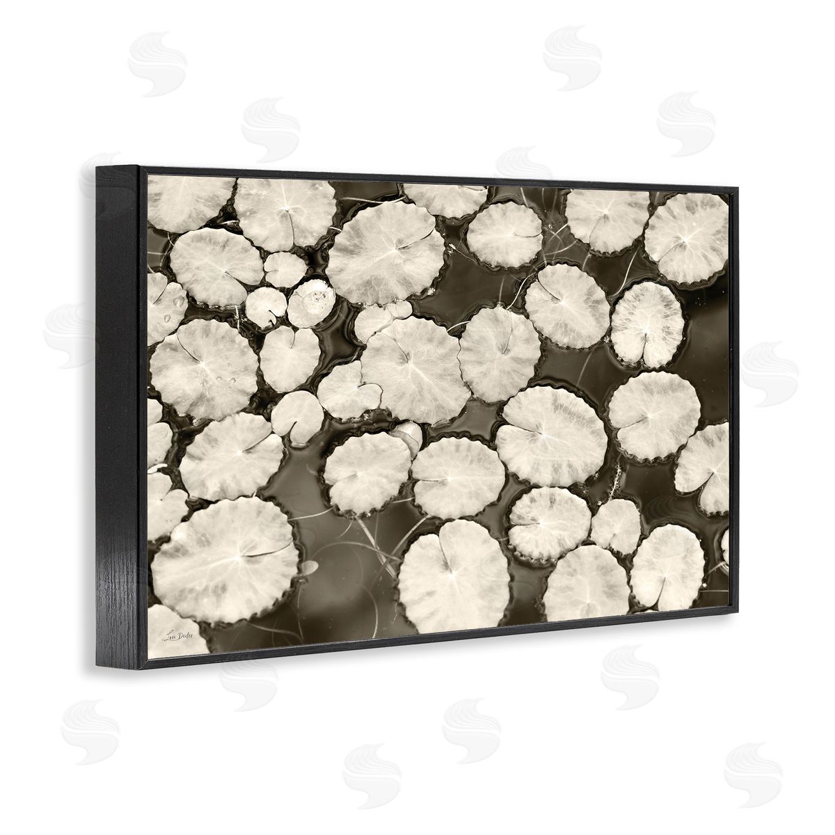 White Floating Lily Pads Black Frame Print Wall Art, Home Decor by Lori Deiter