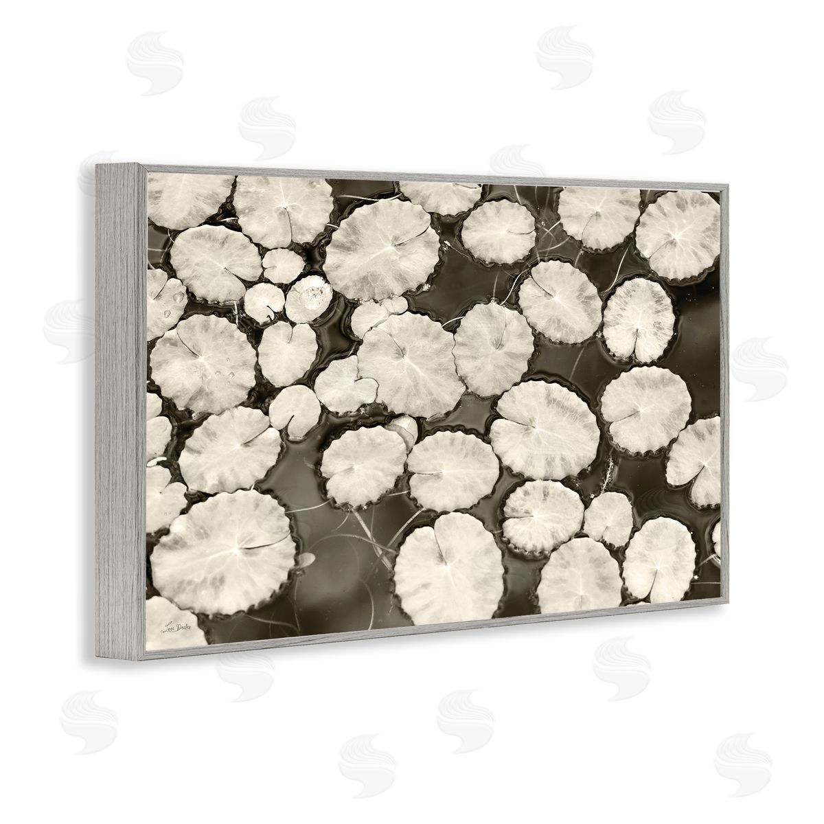 White Floating Lily Pads Grey Frame Print Wall Art, Home Decor by Lori Deiter