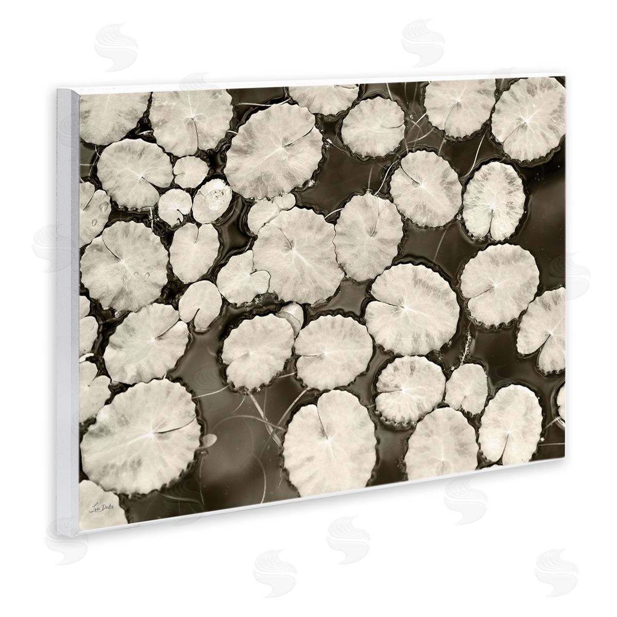 White Floating Lily Pads Wood Plaque Wall Art, Home Decor by Lori Deiter