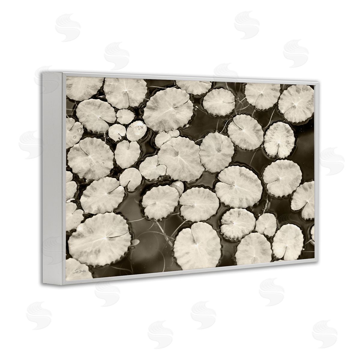 White Floating Lily Pads White Frame Print Wall Art, Home Decor by Lori Deiter