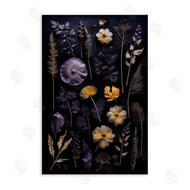 Heidi Kuntz | Flower Specimens on Black