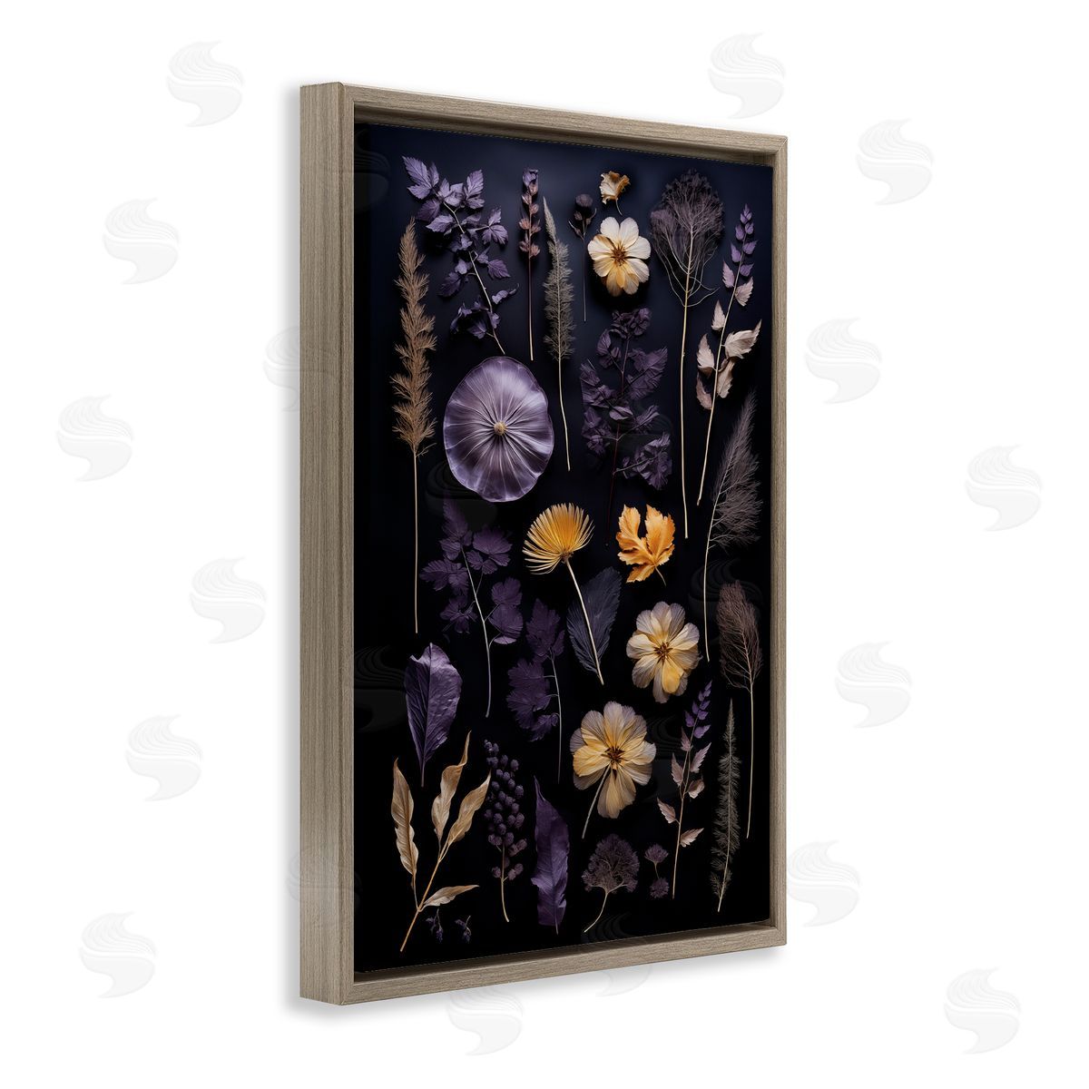 Flower Specimens on Black Brown Floating Frame Canvas Wall Art, Home Decor by Heidi Kuntz