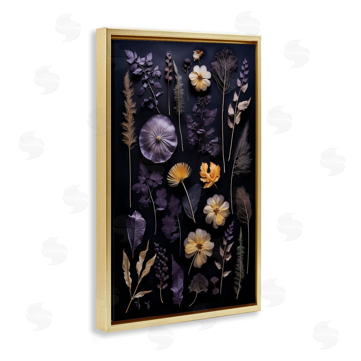 Flower Specimens on Black Gold Floating Frame Canvas Wall Art, Home Decor by Heidi Kuntz