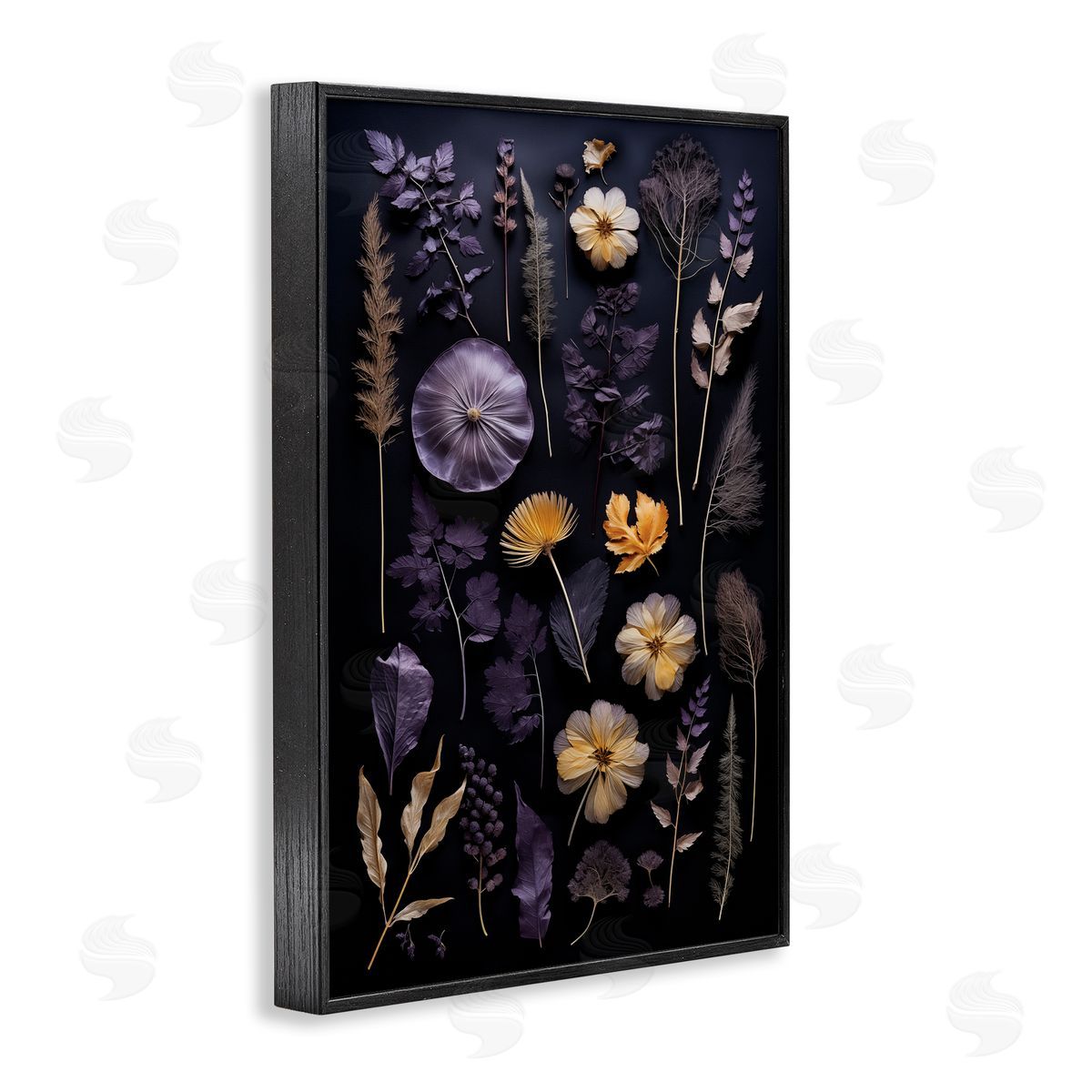 Flower Specimens on Black Black Frame Print Wall Art, Home Decor by Heidi Kuntz