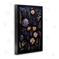 Heidi Kuntz | Flower Specimens on Black