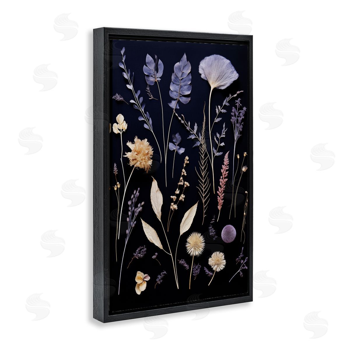 Various Sprigs on Black Black Floating Frame Canvas Wall Art, Home Decor by Heidi Kuntz