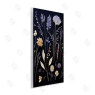 Heidi Kuntz | Various Sprigs on Black