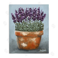 Sara Baker | Potted Lavender Herbs