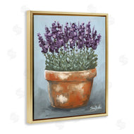 Sara Baker | Potted Lavender Herbs