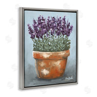 Sara Baker | Potted Lavender Herbs