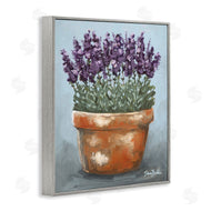 Sara Baker | Potted Lavender Herbs