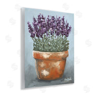 Sara Baker | Potted Lavender Herbs