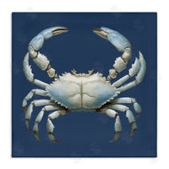 Elizabeth Medley | Detailed Aquatic Blue Crab