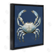 Elizabeth Medley | Detailed Aquatic Blue Crab