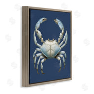 Elizabeth Medley | Detailed Aquatic Blue Crab