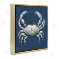 Elizabeth Medley | Detailed Aquatic Blue Crab