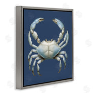 Elizabeth Medley | Detailed Aquatic Blue Crab