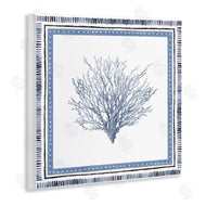 Lanie Loreth | Bordered Oceanic Coral