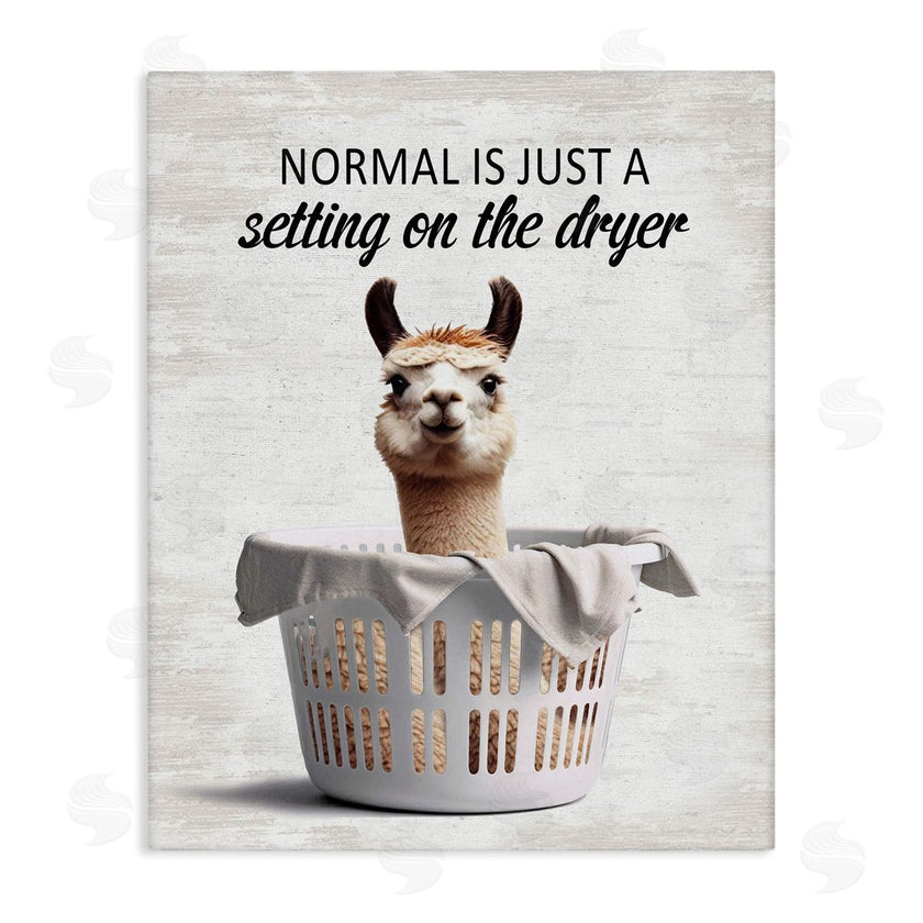Lettered and Lined | Funny Normal Dryer Quote