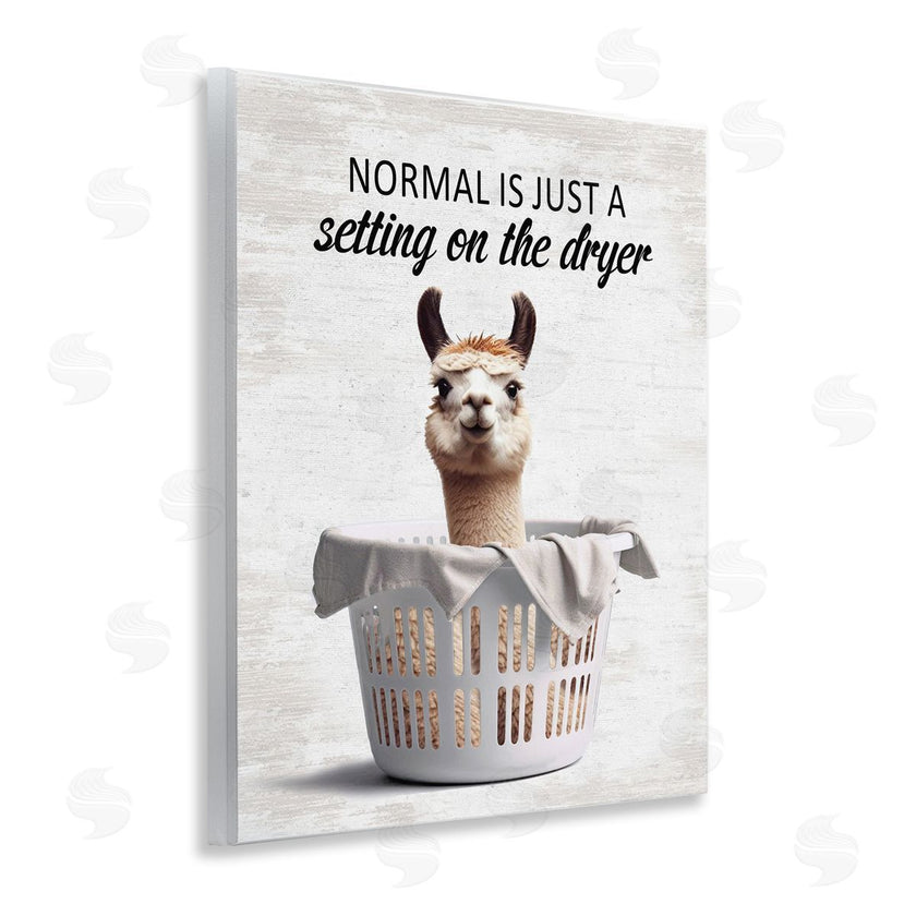 Lettered and Lined | Funny Normal Dryer Quote