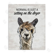 Lettered and Lined | Normal is Just Dyer Setting