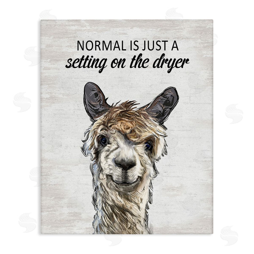 Lettered and Lined | Normal is Just Dyer Setting