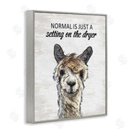 Lettered and Lined | Normal is Just Dyer Setting