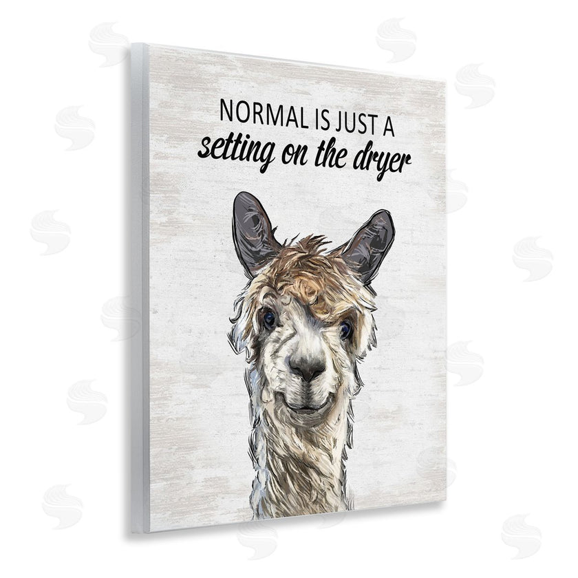 Lettered and Lined | Normal is Just Dyer Setting
